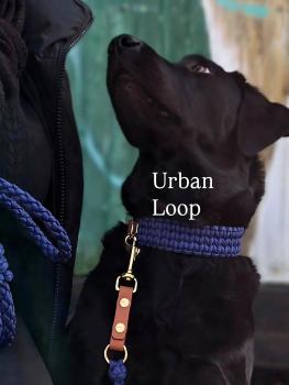 Preview: Paracordleine Urban Style 2.20m Galaxy