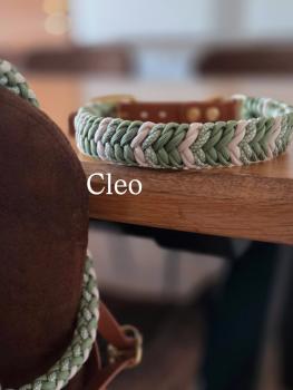 Preview: Paracord Biothane Mud 2.20m