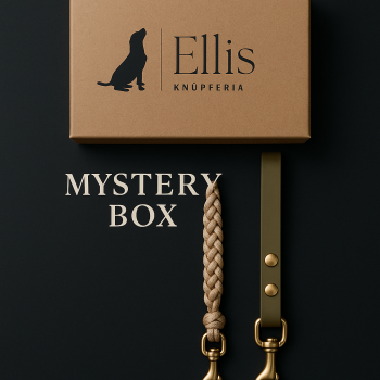 Mystery Box Leine
