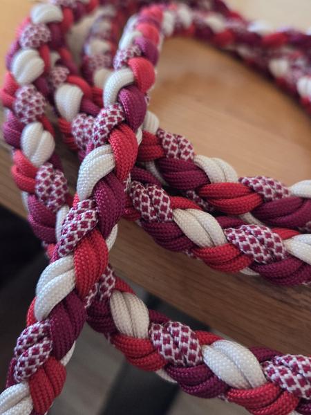 Red Velvet Hundeleine 2.20m