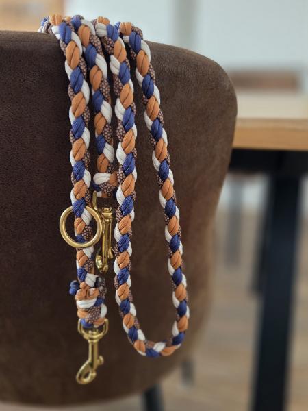 Paracodleine Mustard Galaxy 2.20m